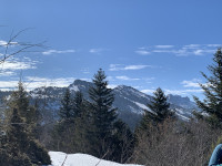 La nature dans toute sa splendeur